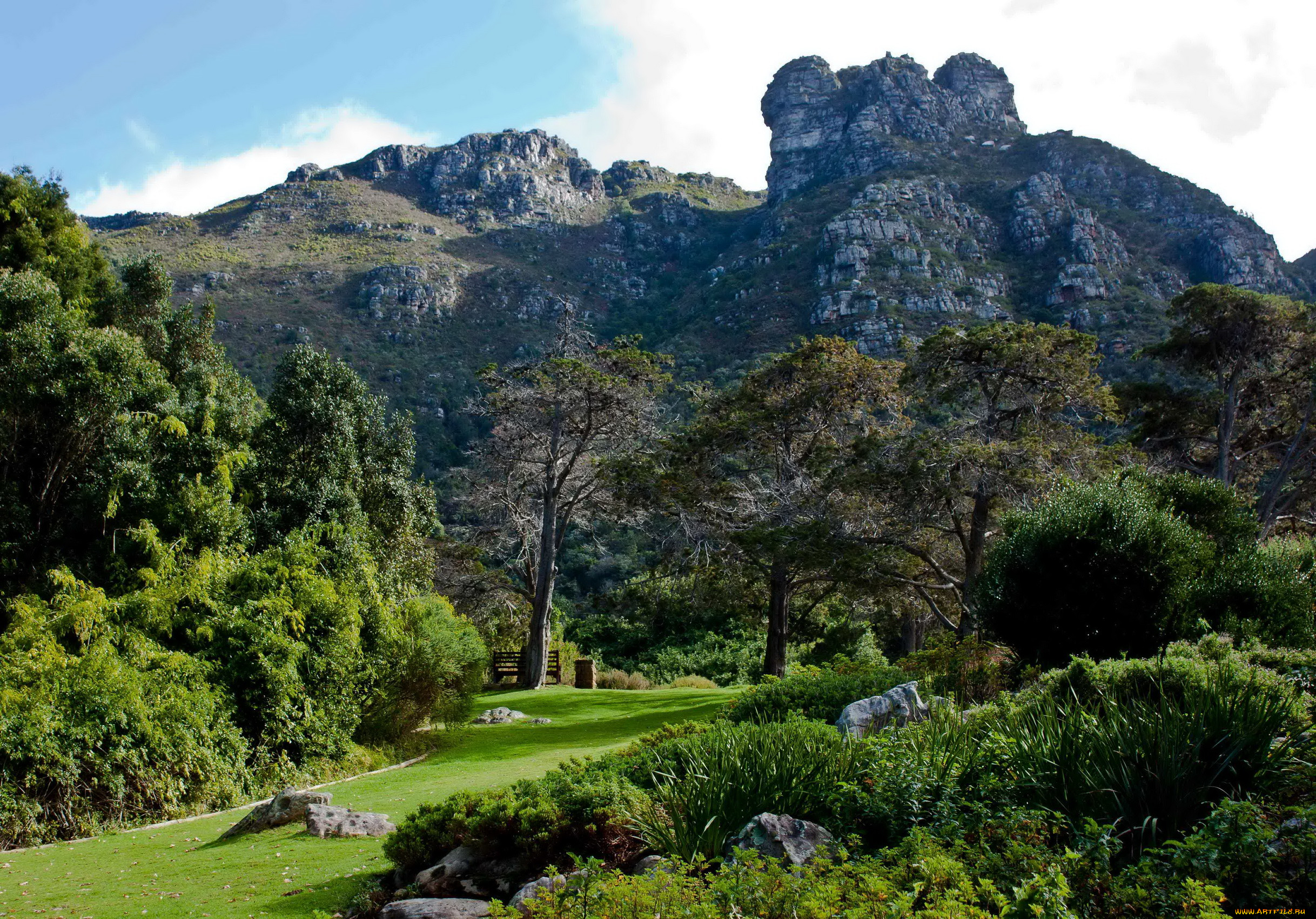 kirstenbosch, national, botanic, garden, south, africa, , , , 